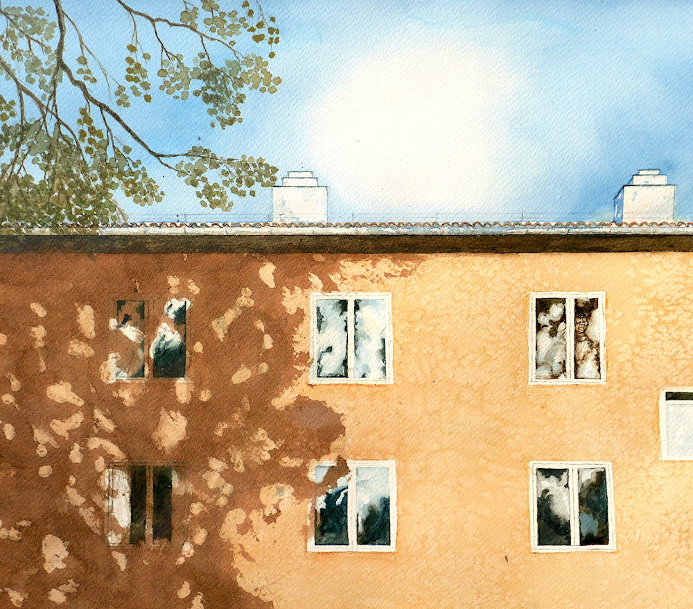 mindre_sommarskugga