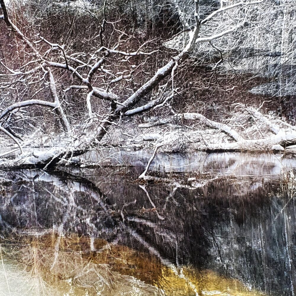 Träskland – Swampland