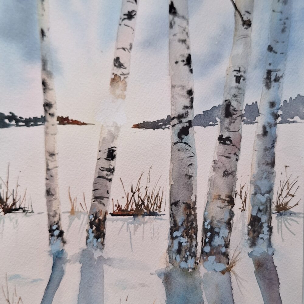 Natur och landskap