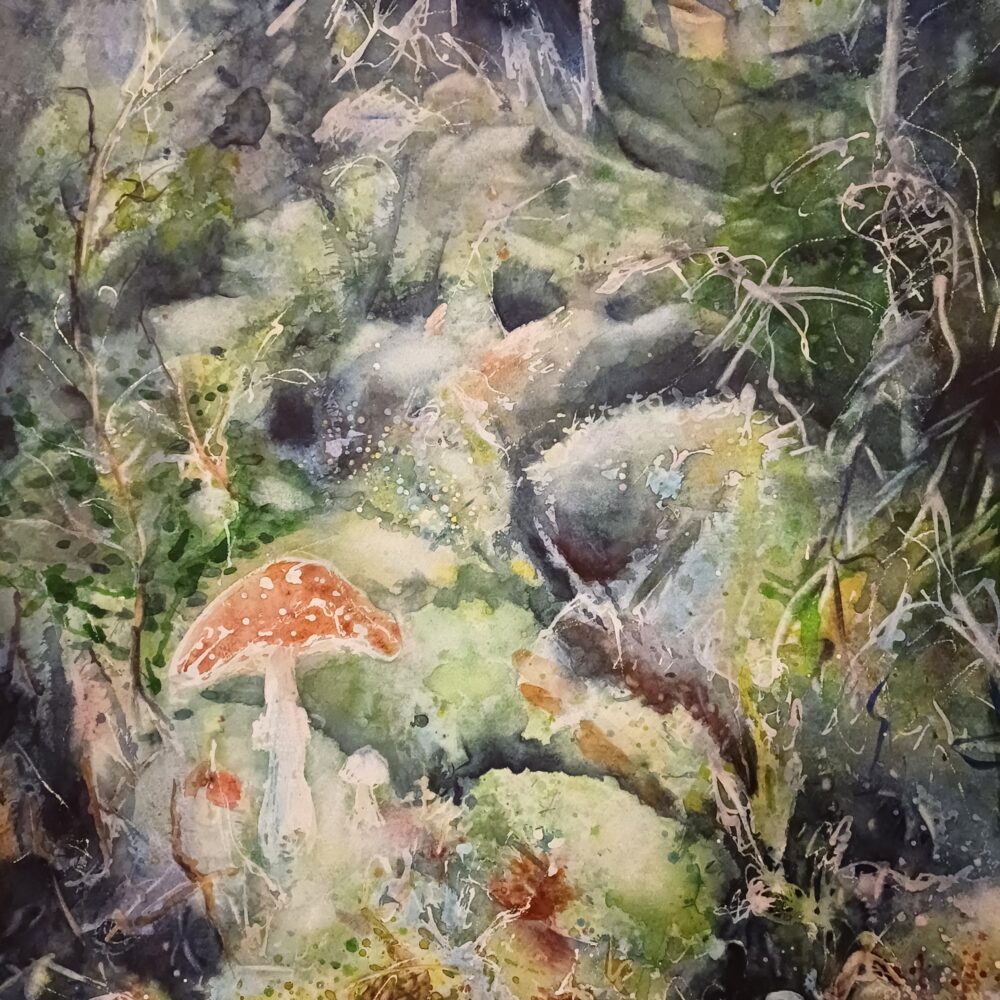 Akvarell helark