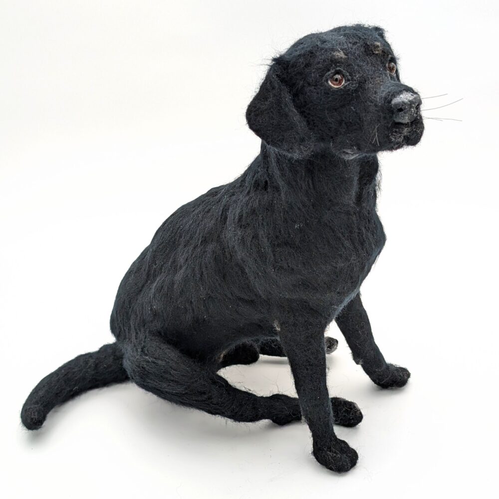 Våra vänner djuren