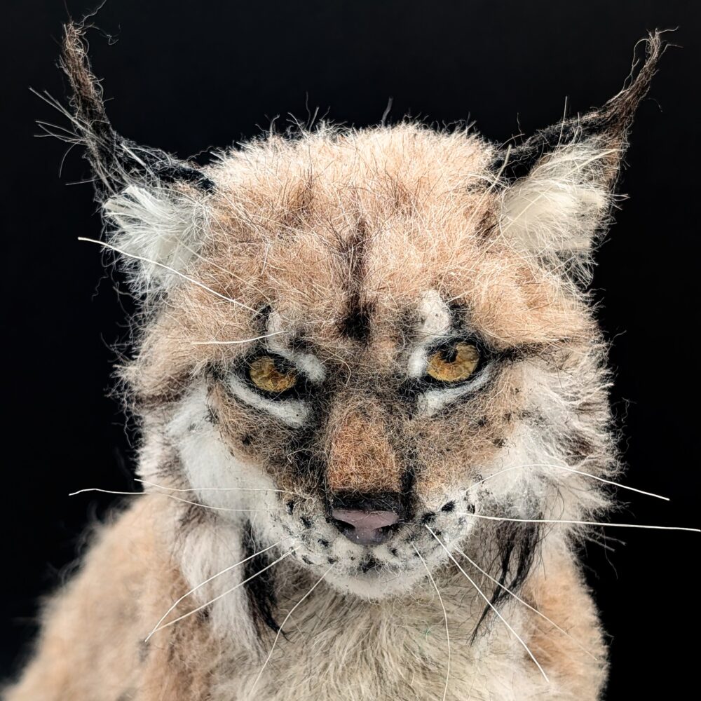 Vilda svenska däggdjur