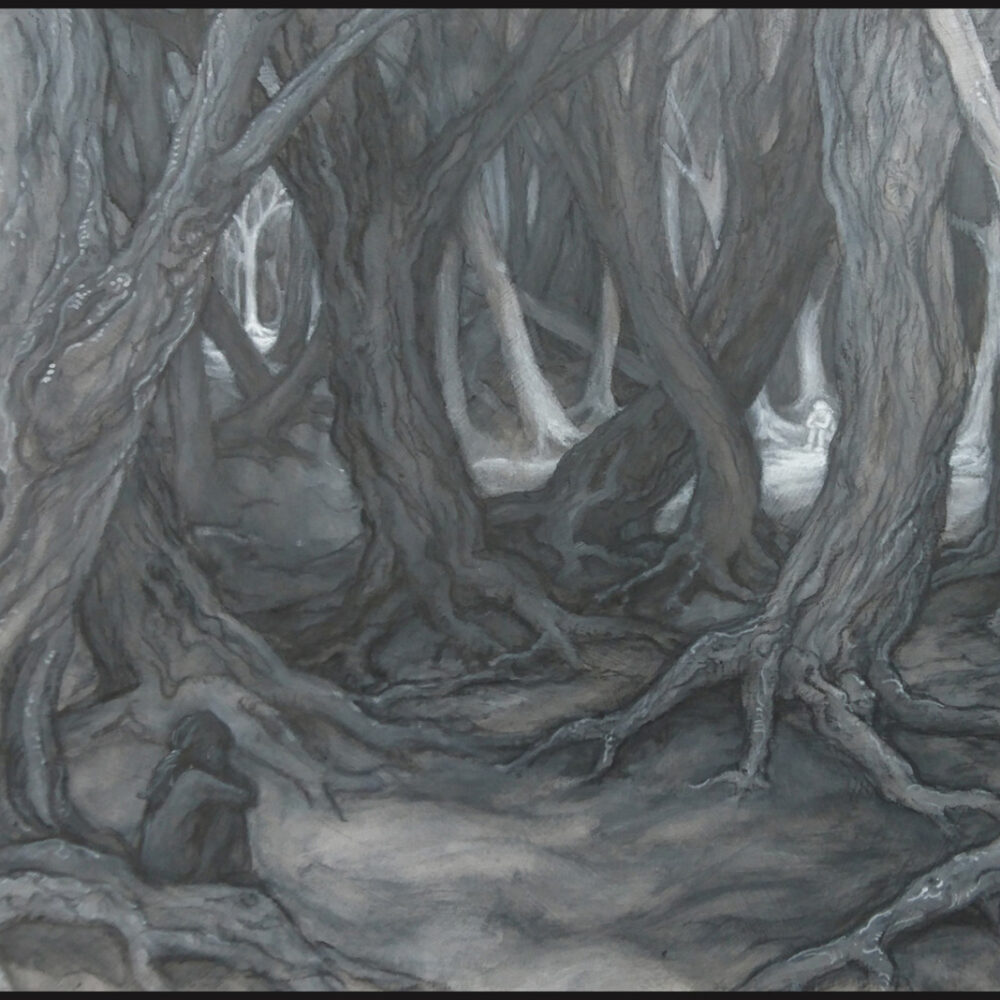 Skuggorna-ljuset-web