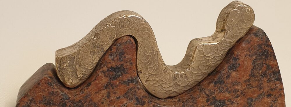 Omslagsbild för medlem