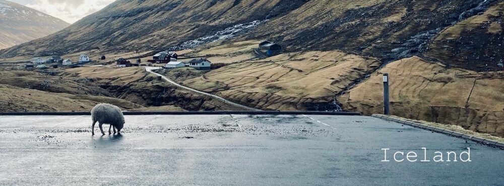 Omslagsbild för medlem