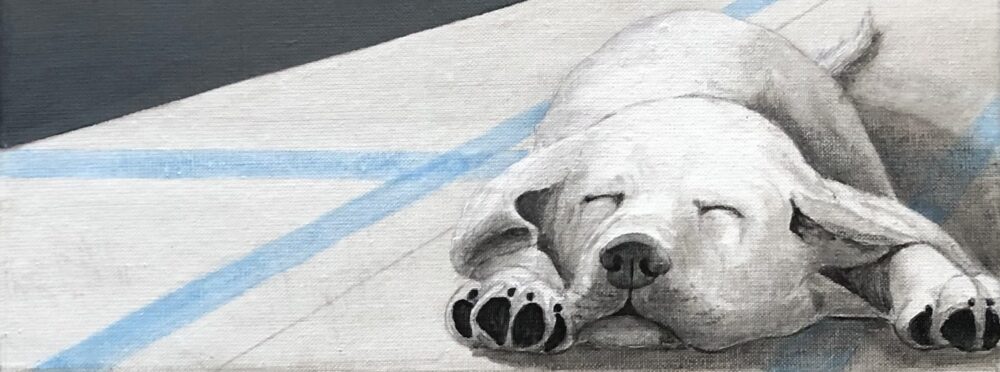 Omslagsbild för medlem