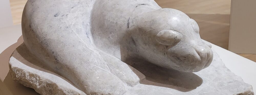 Omslagsbild för medlem