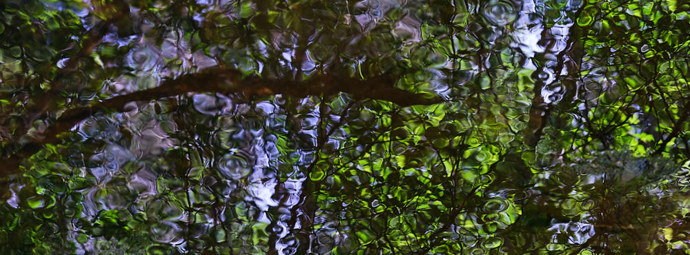 Omslagsbild för medlem