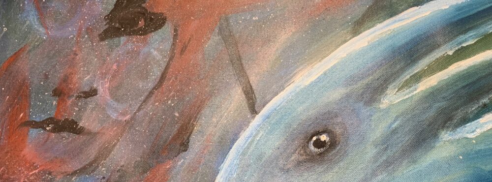 Omslagsbild för medlem