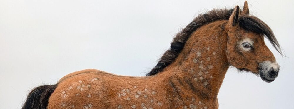 Omslagsbild för medlem