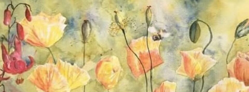 Omslagsbild för medlem