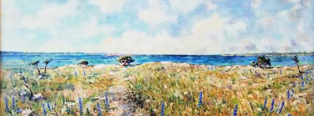 Omslagsbild för medlem